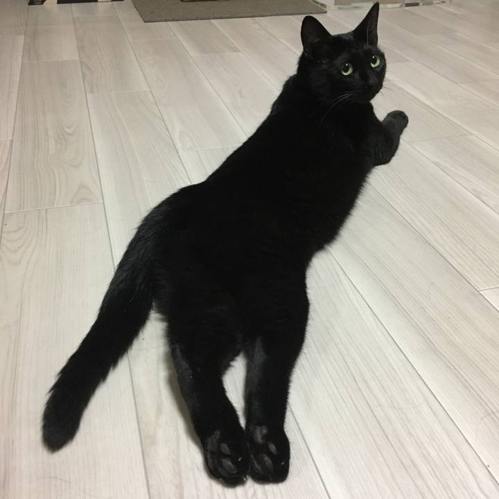 33d826e4 23d8 4692 8744 c7efbb7d45de