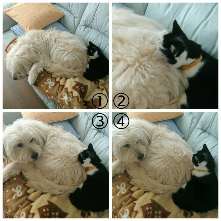 33d88c61 1db8 412a b65a 6e08706f734a