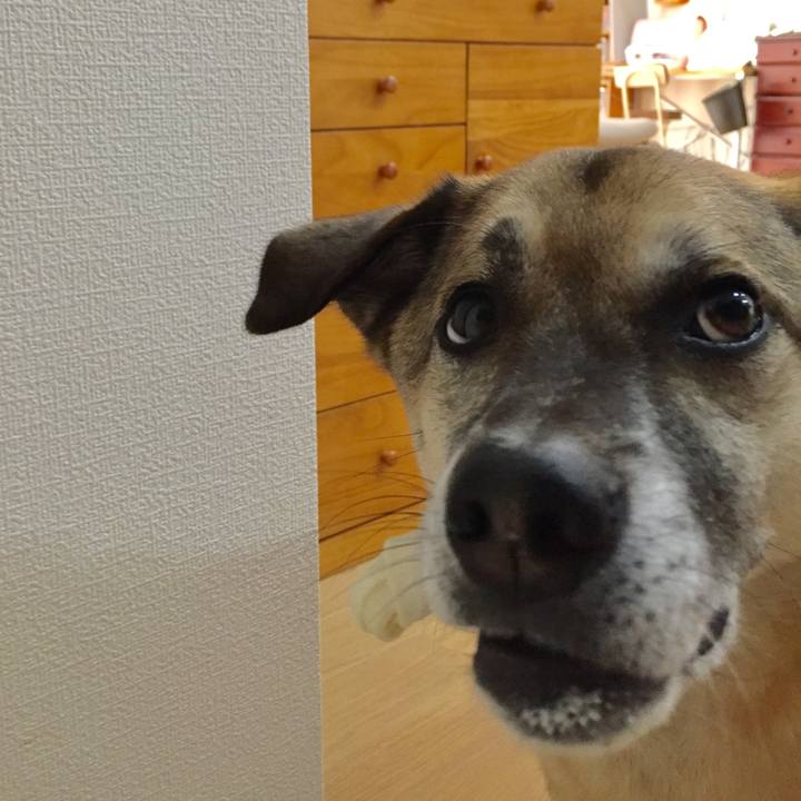 33d8d936 caeb 4803 a7d2 6dd976e1023f