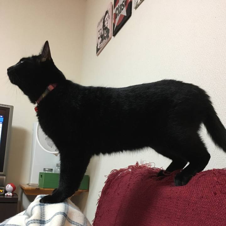 33d950e5 46eb 4c39 9ee6 719f6a54e14a