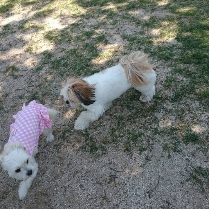 33da6853 8f7e 41b6 ab23 361790266ee0