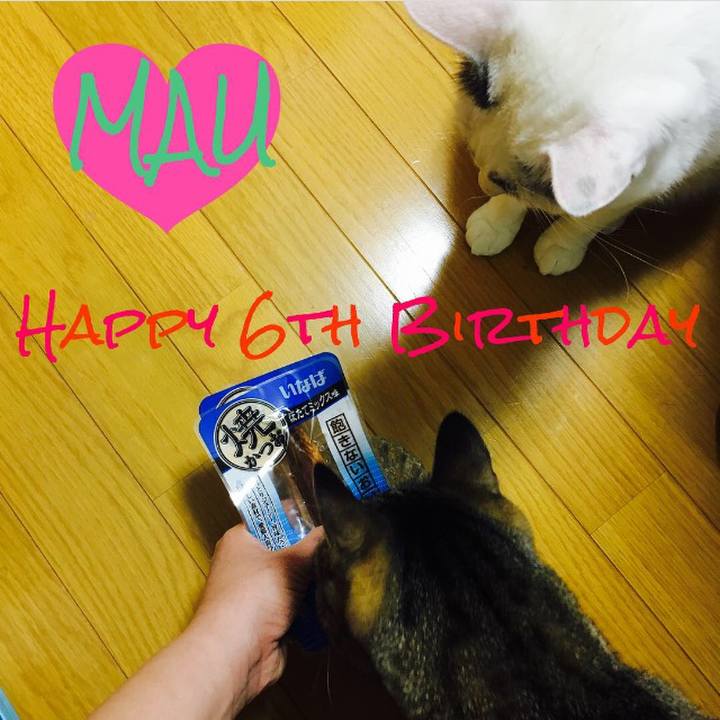 33daa659 820c 4bf0 8864 00e4f15d0f31