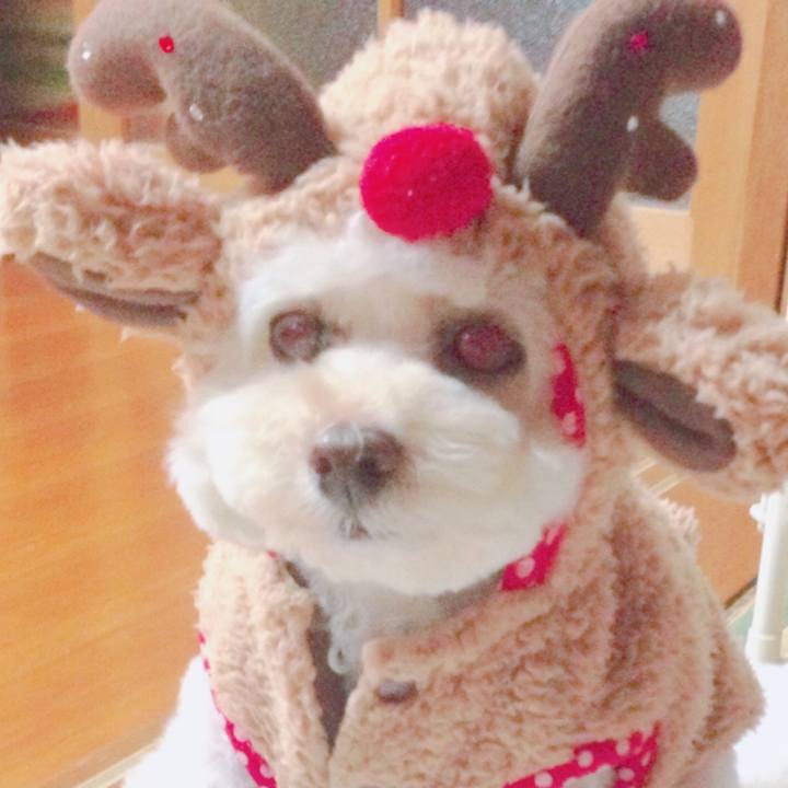 33dae40a 198b 419f bffd ce0980bdd792