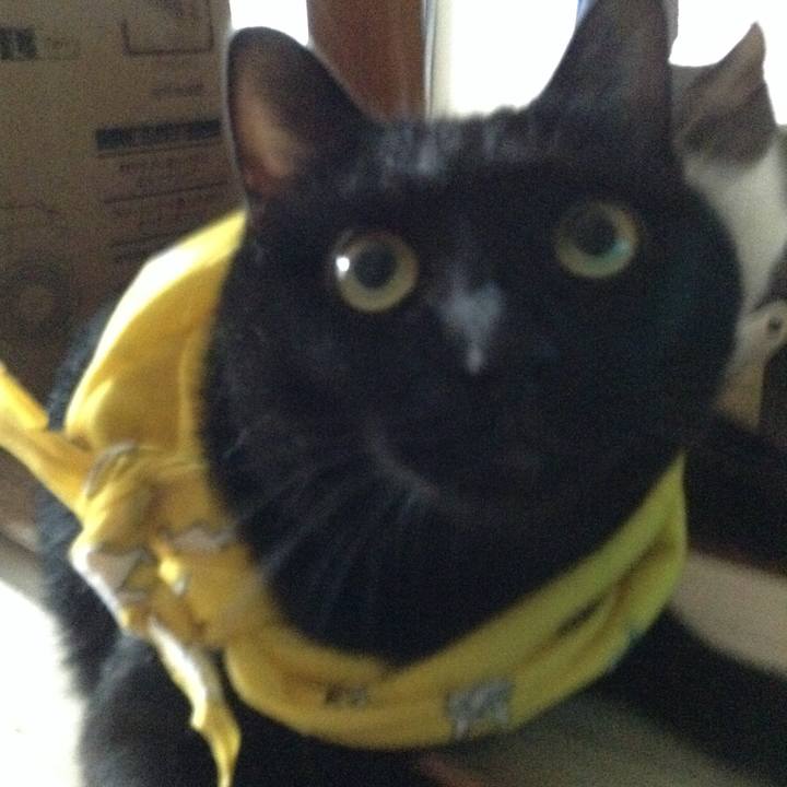 33db3a44 0c0e 4e39 9056 62969cd54ba0