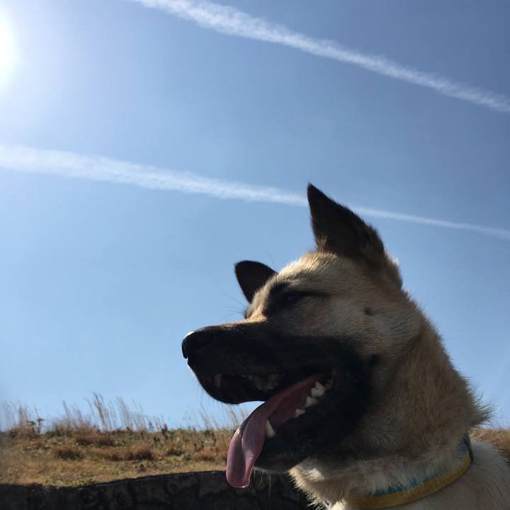 33dbe30b 5d62 4375 9c1c bca8c670488f