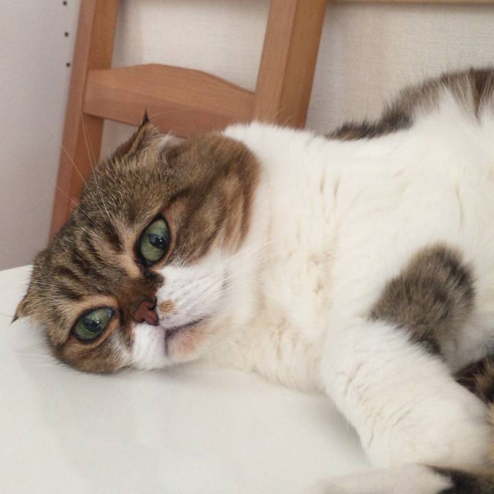 33dc34e6 8615 4021 b1ca 049304eaf843