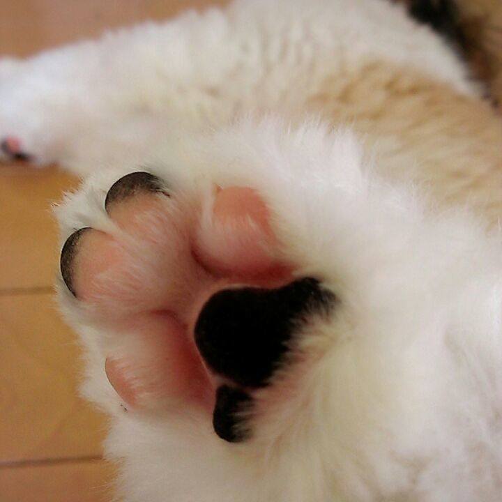 33dc751c b8cc 4527 bd08 d6602b369ff5