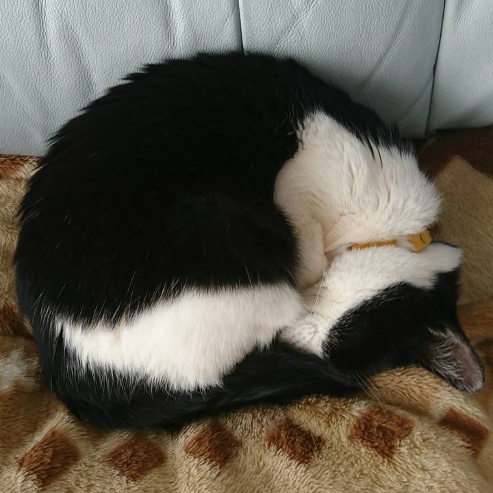 33dce915 b390 4900 8f1d f560d462848f