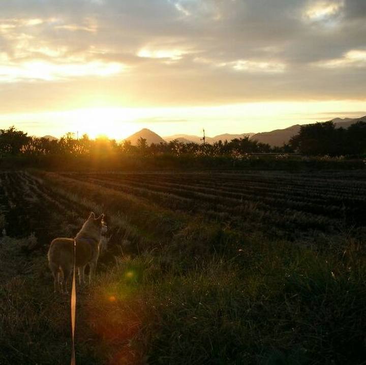 33df9e86 6112 4ebb 84a5 b667d2dc2946