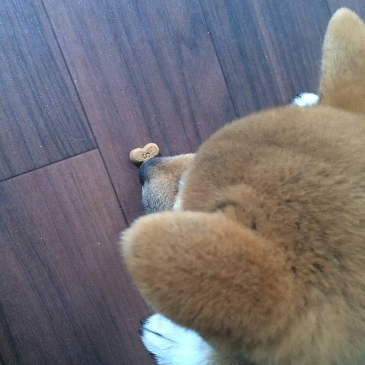 33dfbcee 3d58 43af 840c a70f9731e33c