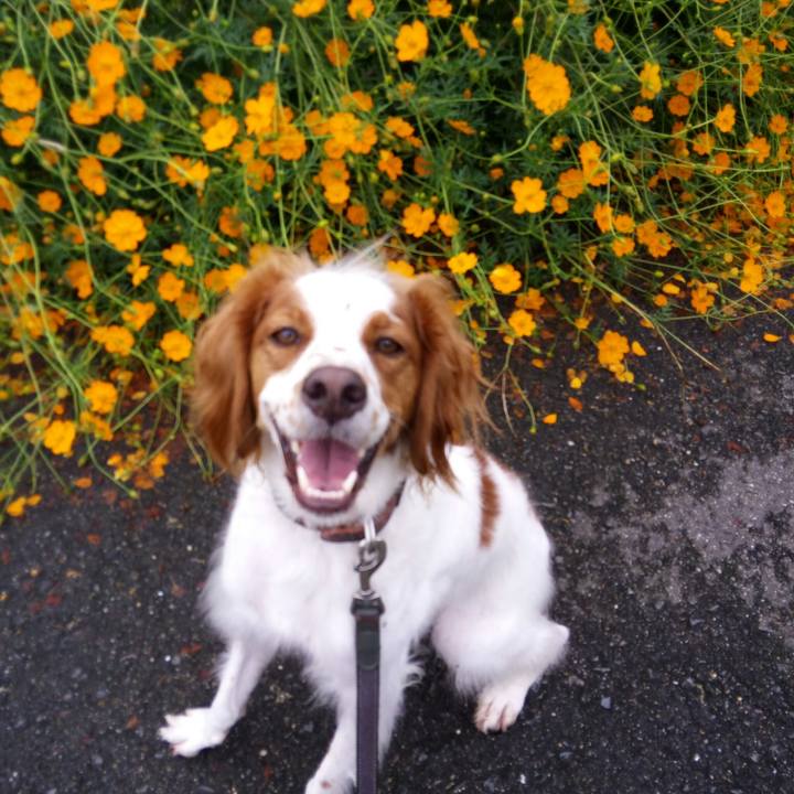 33dfccbe 3095 4102 8e5a d56139d9e86c