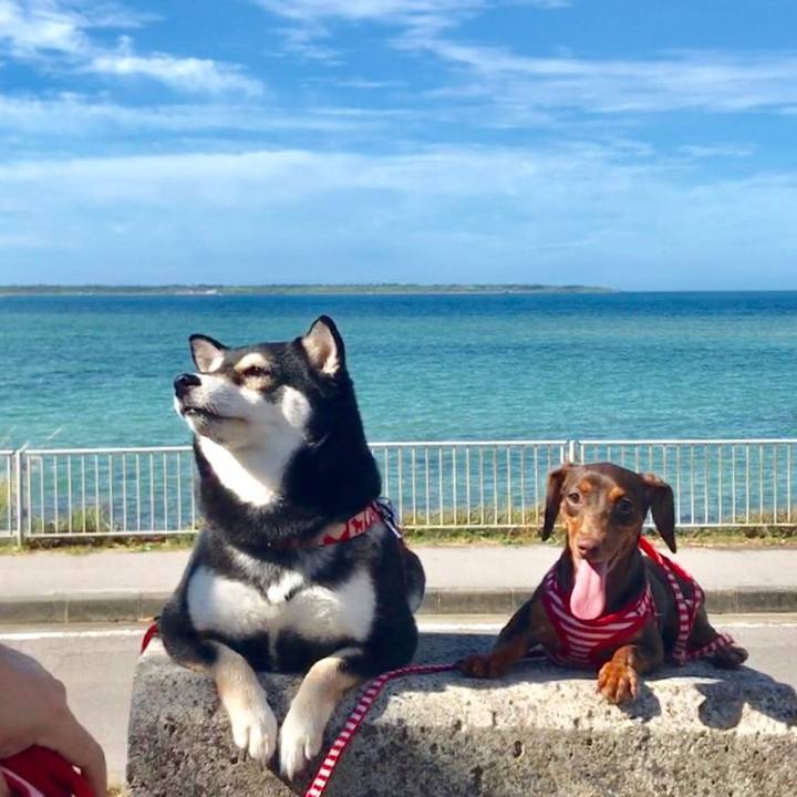 33dffc2c 4d7c 43fe aa55 7c3a4f683635