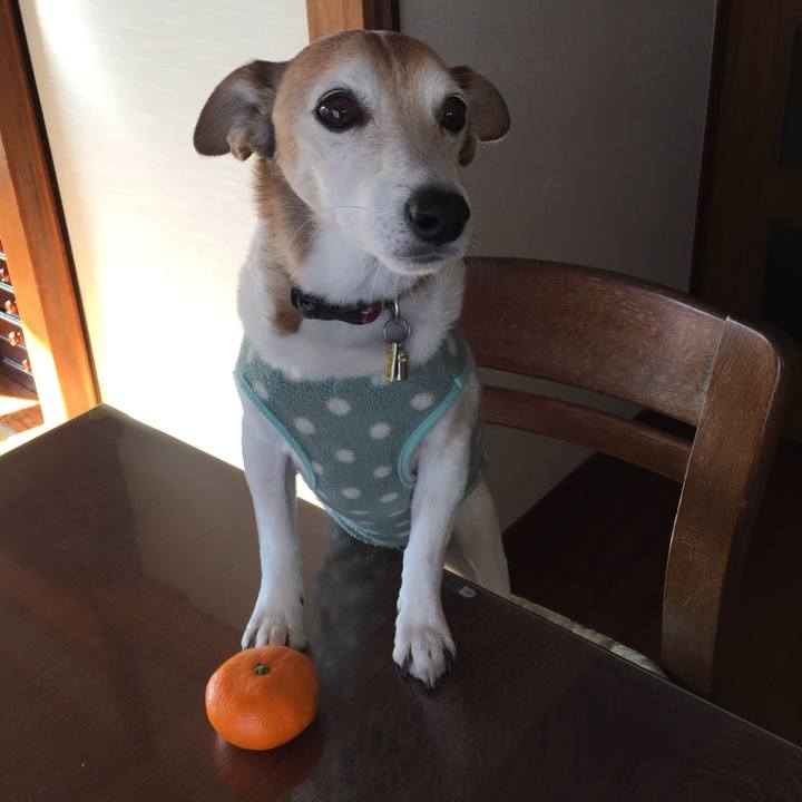 33e04a9f 27e0 43a8 89fb c18dd3035b83