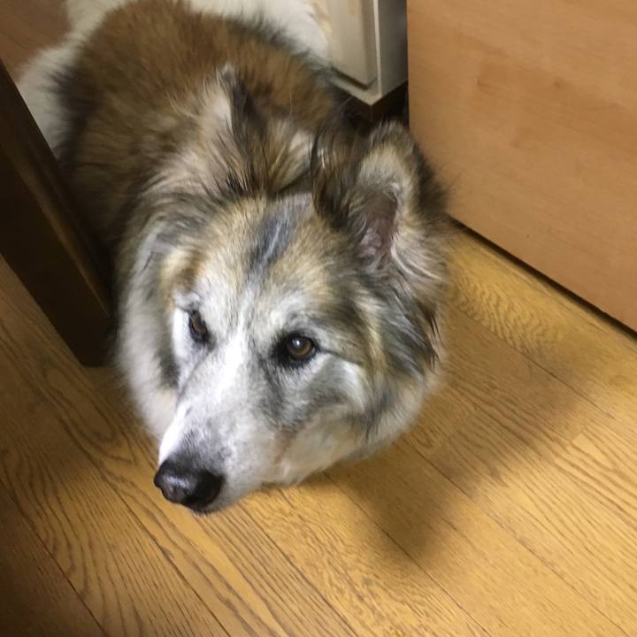 33e0bad9 5d41 4a8d bbf1 0ed6e4bf1588