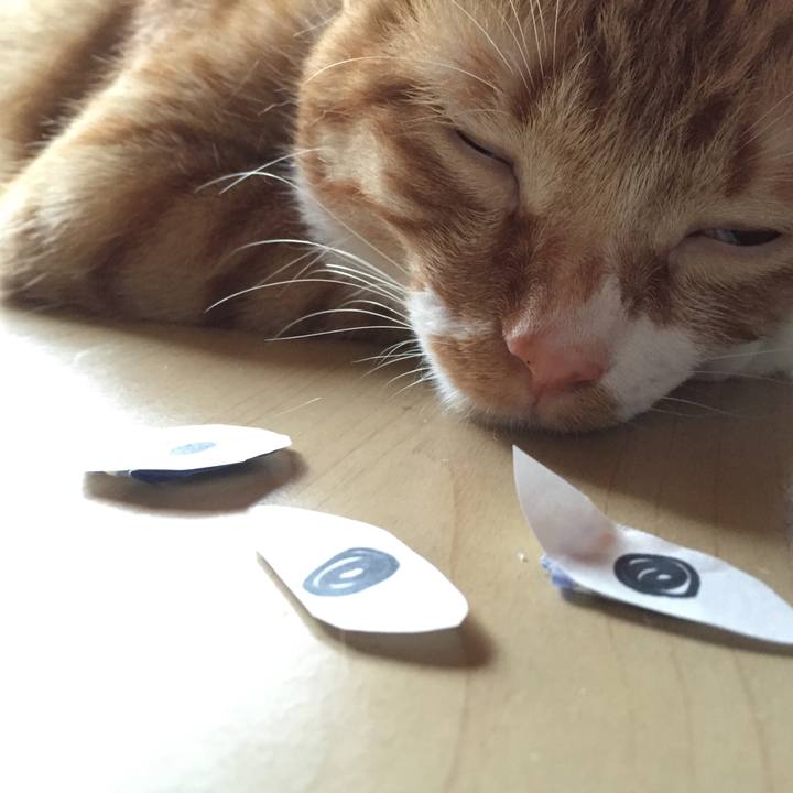 33e0cb82 ee91 4e4e b901 a6823f5bf8ce