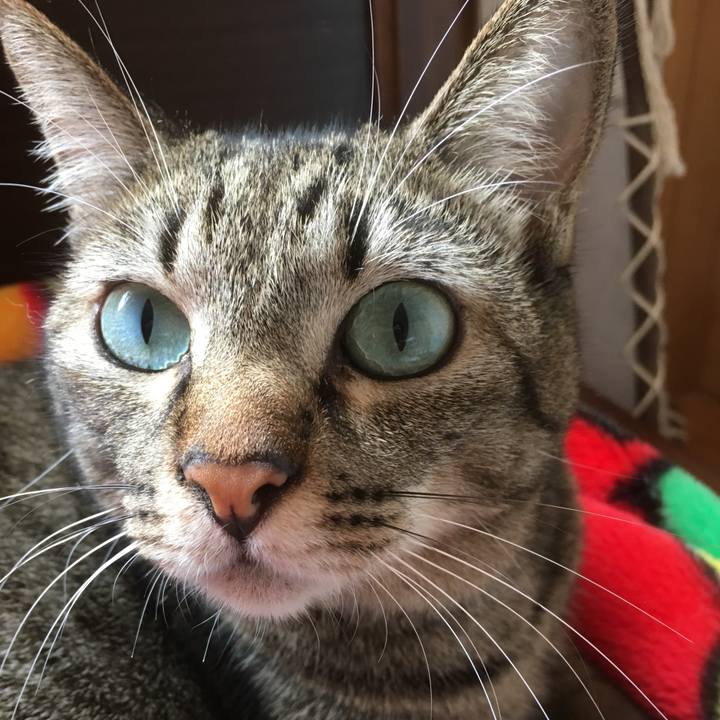 33e0e637 bb99 4cc2 aa97 14a73e9264fc