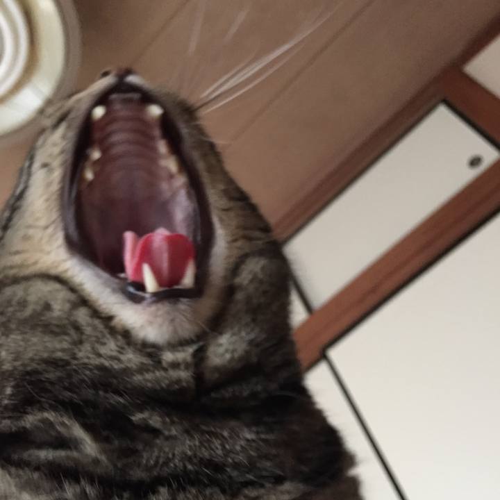 33e16607 1b59 4c2c 96e2 b20ff25ec8d9