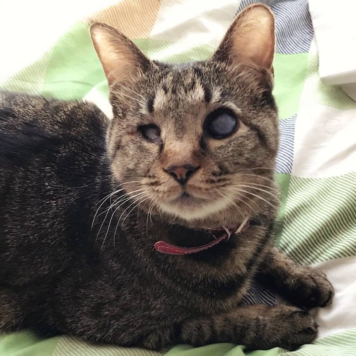 33e24606 242c 45ca 99df be9c244d1974