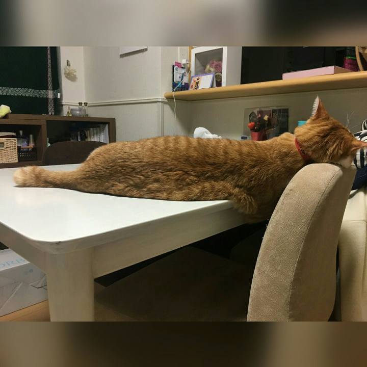 33e2afc8 751d 4e2f b9ba bdecb9fc2a0e