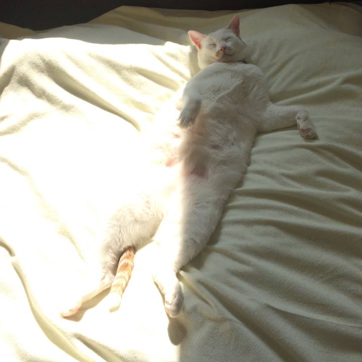 33e39353 4e8b 4a0b 9635 a2a4d2839b9c