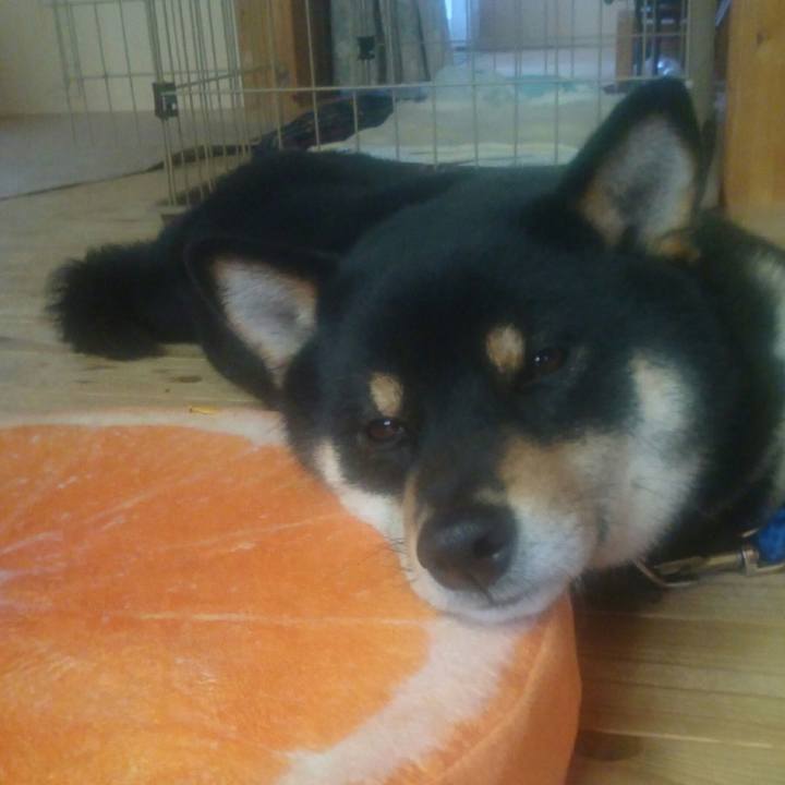 33e3cdaf b1ea 4475 a826 c54635f54ddd