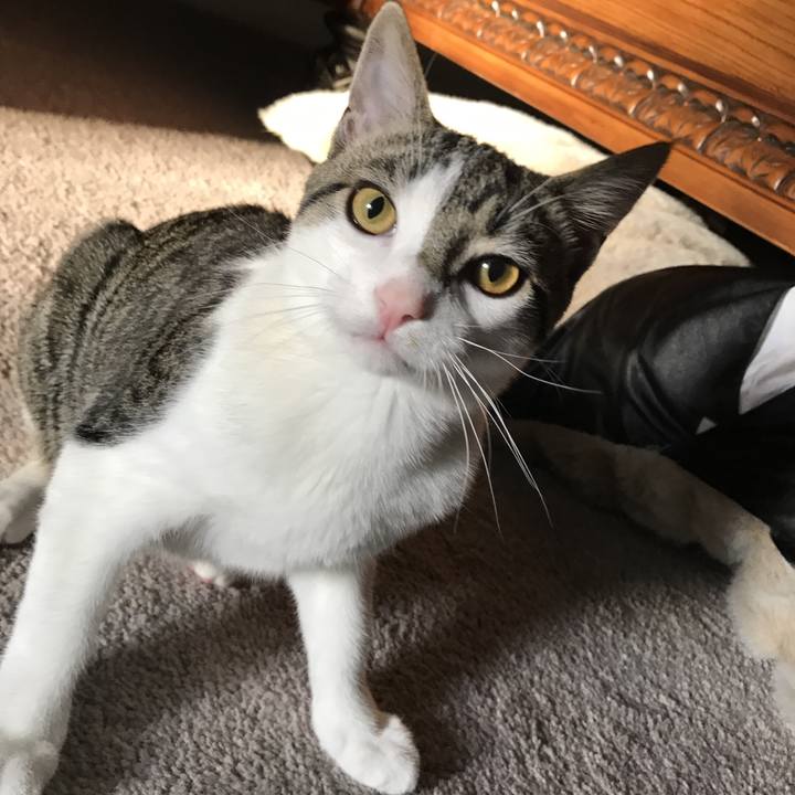 33e4583d cfe9 4ede b38a 8579c889117e