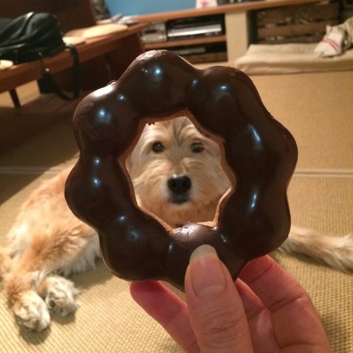 33e48ee5 64ac 4bbb 9fb4 320450d8357e