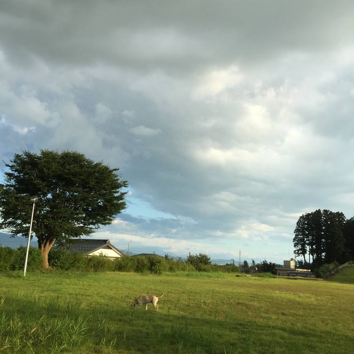 33e4c198 7bf5 48df 967e c57e993105d7