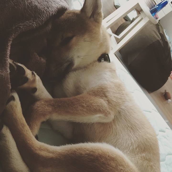 33e4cf45 4bc6 416e b955 1d6c071fd4fa