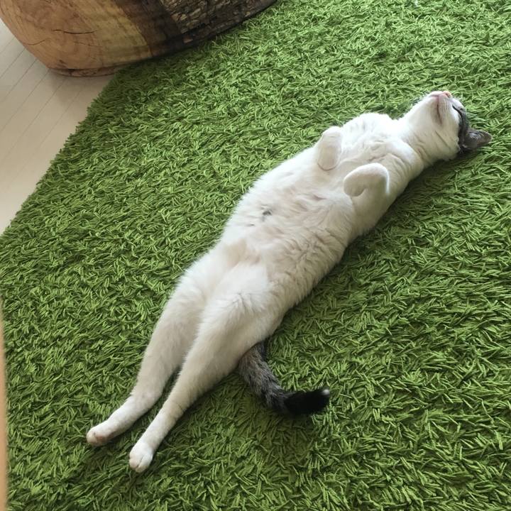 33e54551 c0e9 428f b512 d13734555b2d