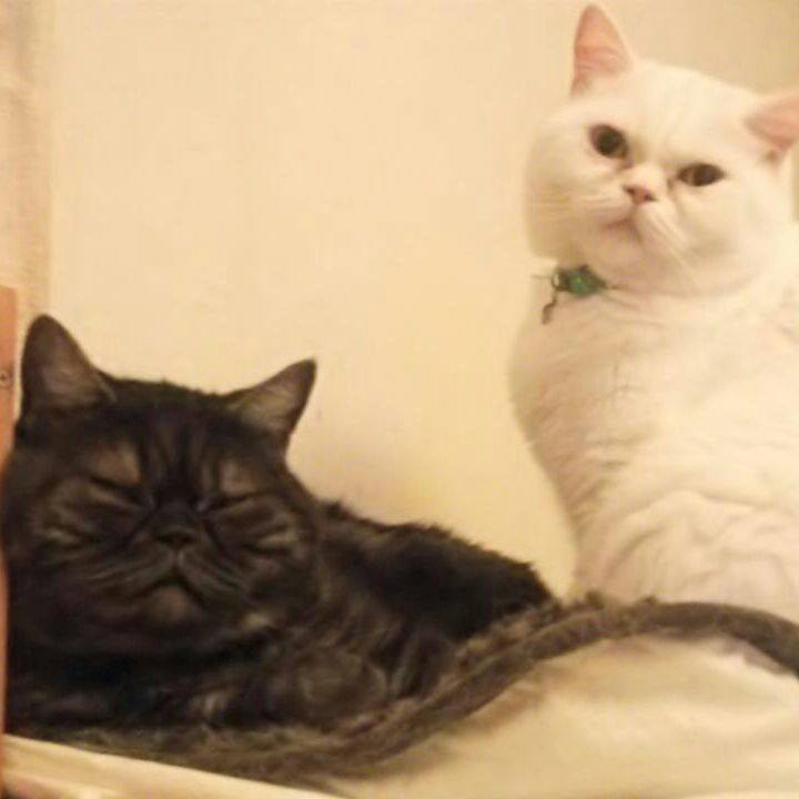 33e59b30 d698 4d40 abc1 2745fea8a15c