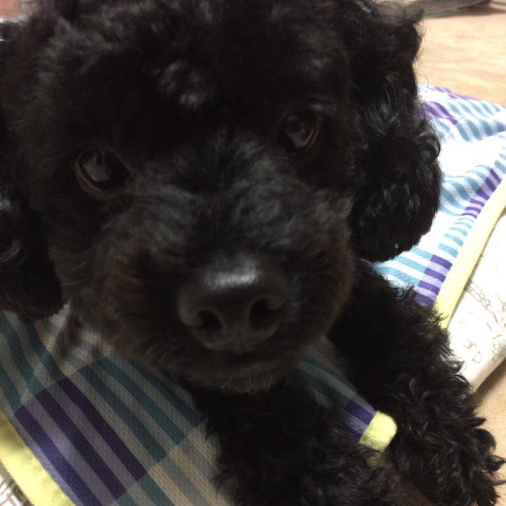 33e65eba 7896 401b a155 9ac8092f9c96