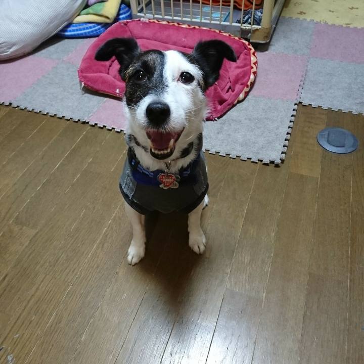 33e82d6f acf6 4131 886b e668b34dbd68