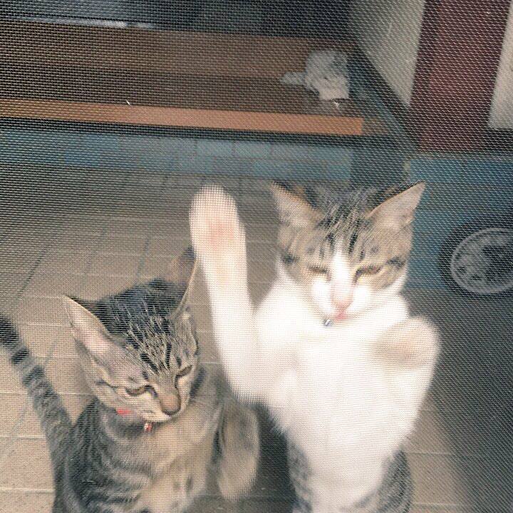 33e86ae4 ab3e 4405 a951 8d6d20a57ff9