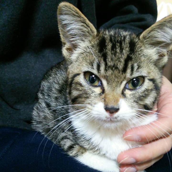 33e8b199 ca36 489a af75 e5e73256a5c1