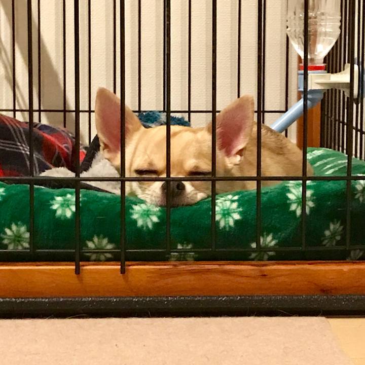 33e90c6c b32b 4920 93a7 8e7f4484febb