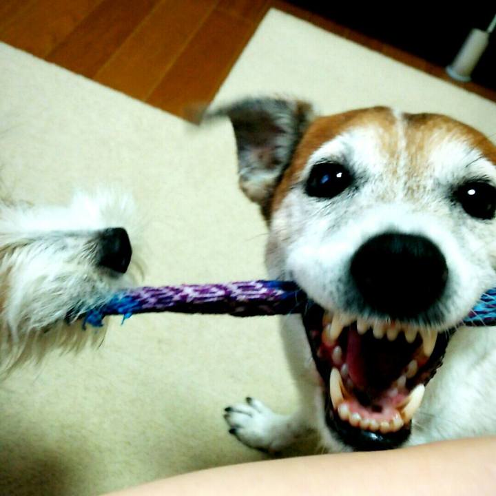 33e97463 c87c 4c27 971b 74b75c7b84d6