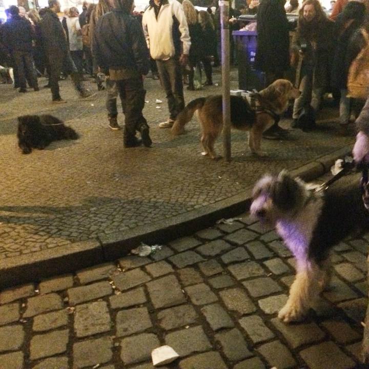 33ea011b 91d1 4589 870c 9332518c6c63