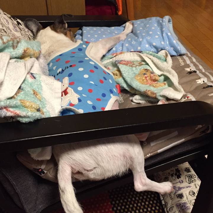 33ea65de 950a 4c28 8d5a 3d4f21fa7f54