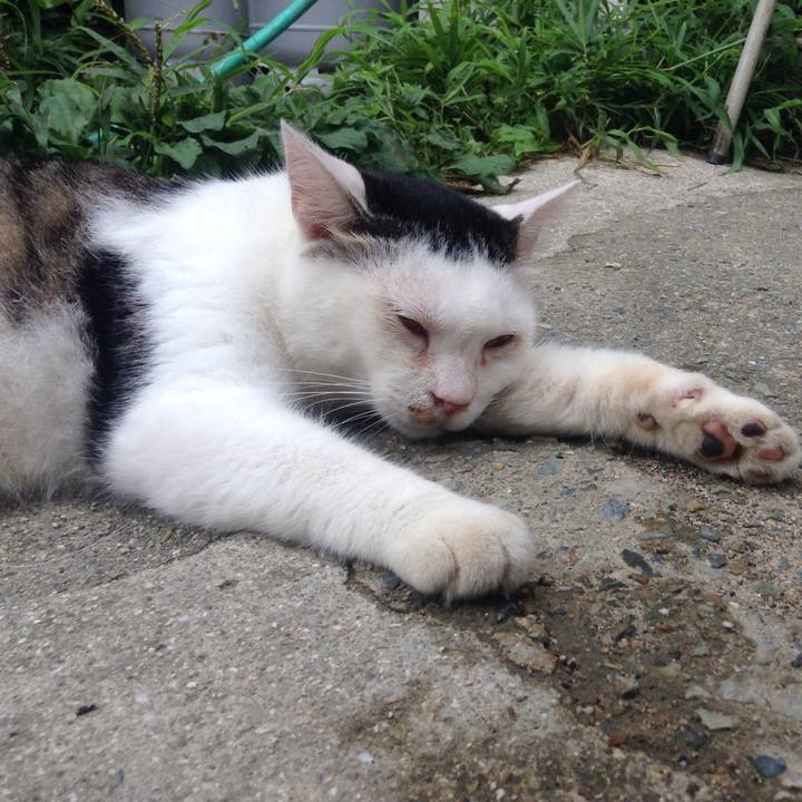 33ed2f02 7f1a 451c b39a be6e36620abc