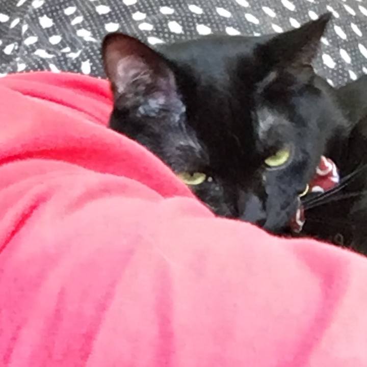 33ed49dc d3c3 4ad7 b7ab a0598cac7e48