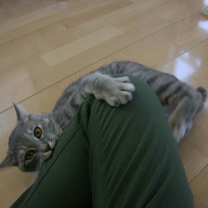 33ed55d9 a81f 41ef 827c de1a40b9d822