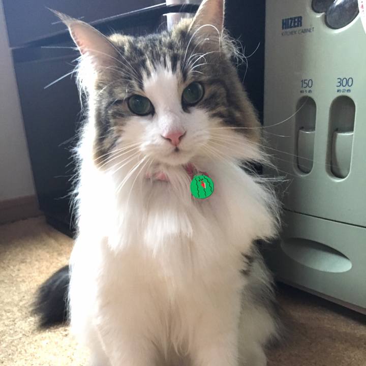 33ed7c76 3029 43e7 8931 0f76eeb4dd2f