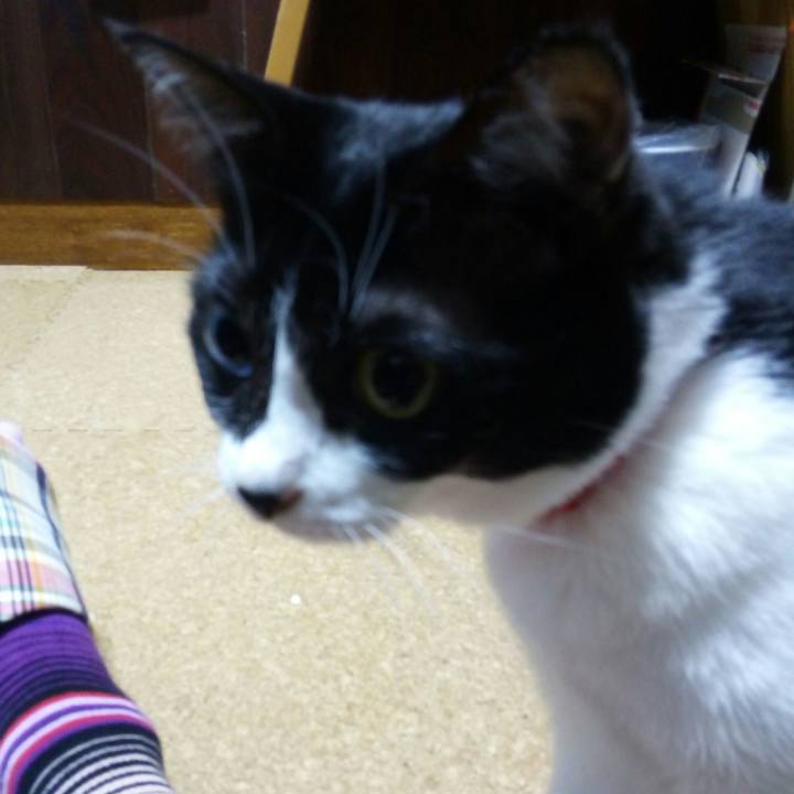 33edd90a 0cc0 495f 8dce 600d8adafbd1