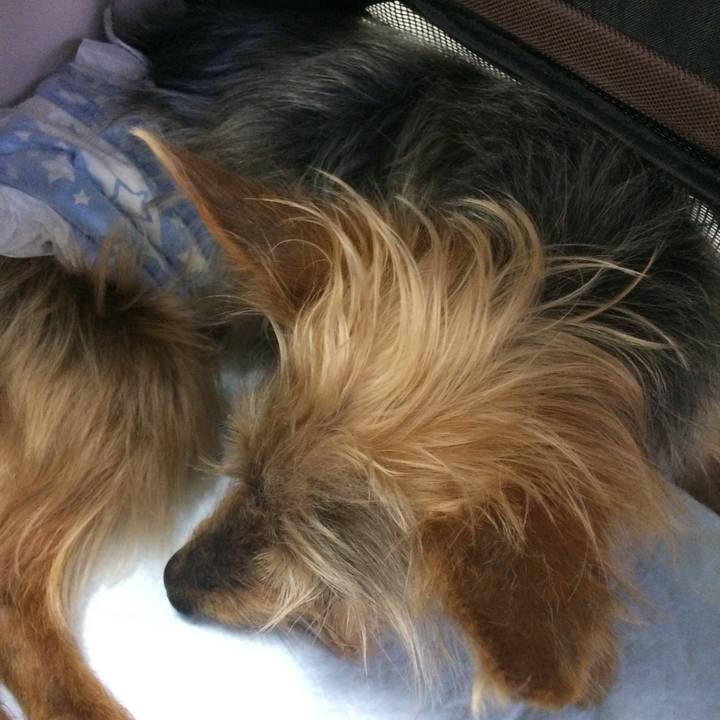 33edf0db b046 41e9 9f66 0ea2dc978e3a