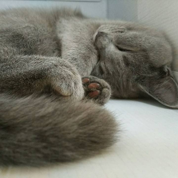 33ee1ca9 65dd 420f 826e b96e0c2425b6