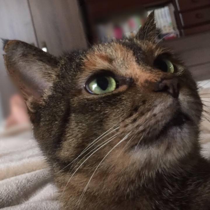 33ee5cc9 86f2 45c4 ad4a f6239bf8628e