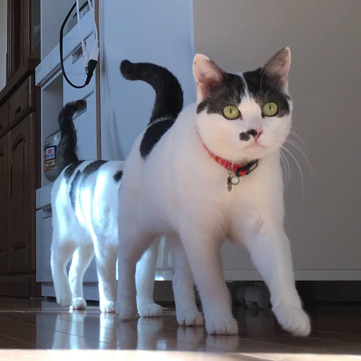 33ef741a 89ac 4578 9239 bc6d03d07c81