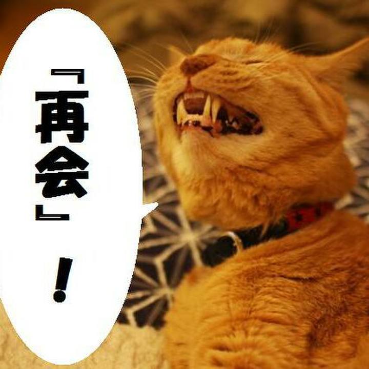 33efa70b 14f4 402b b8b2 ff426fc8b98d