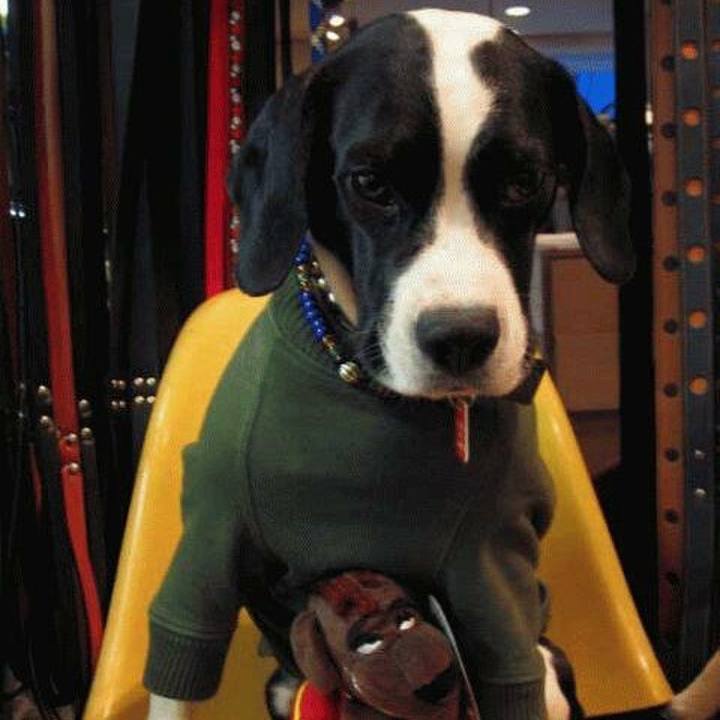 33efe78e 62d0 48d3 9897 a5d4333e3cba